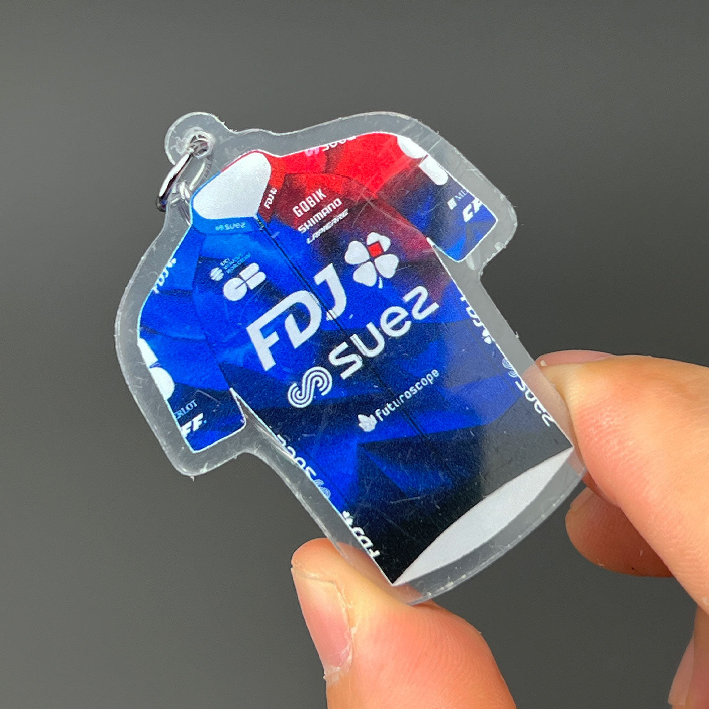 Pro Cycling Team Jersey Keychain Collection – Fan Edition Miniatures